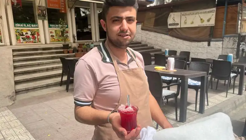 Dağların Zirvesindeki Kar, Yaz Aylarında Sıcaklıklara Karşı Serinlik Sunuyor