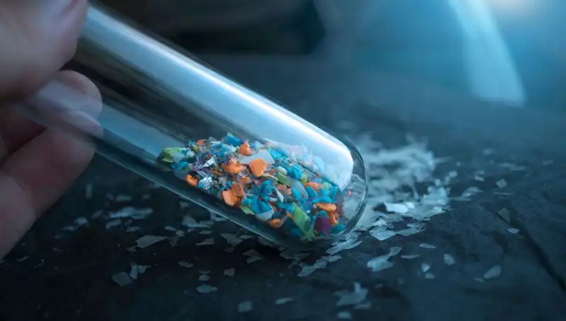 Mikroplastikler İnsan Beynine Sızdı: Bilim İnsanlarının ŞOK EDİCİ Bulguları