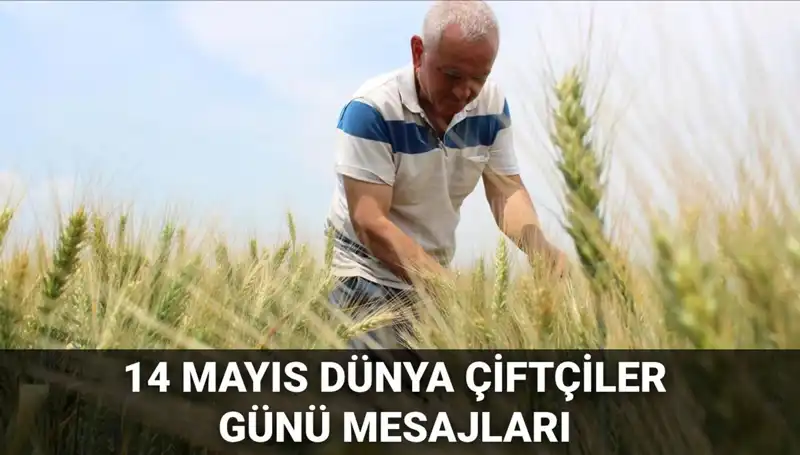 14 Mayıs Dünya Çiftçiler Günü: Çiftçilerin Emeklerini Kutlayın