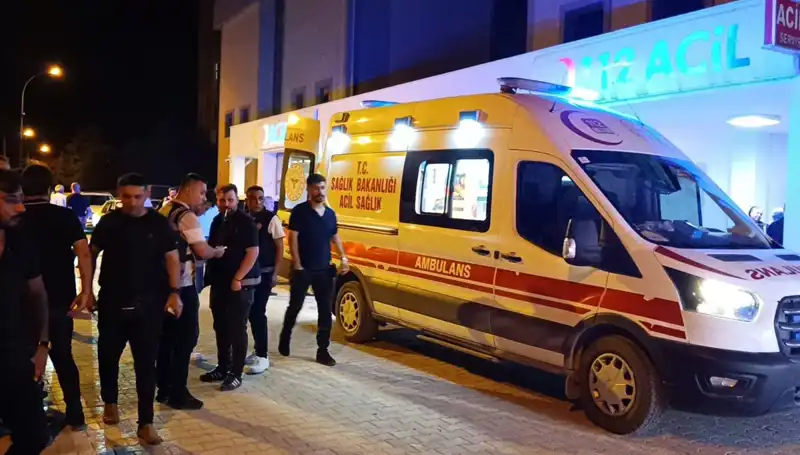 Kardeşi İçin Araya Girdi, Feci Sonuçla Karşılaştı: Olayın Ardındaki Gerçekler