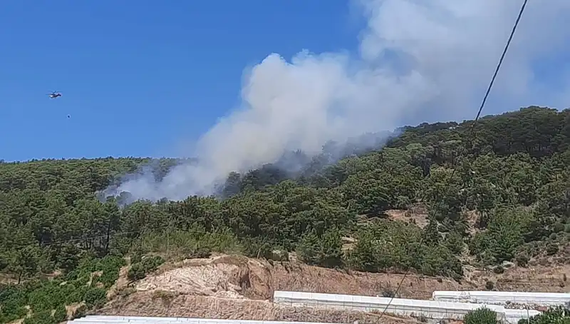 Kumluca'nın Özlemle Beklenen Ormanları Tarih Yazdı: Yangın Alarmı!