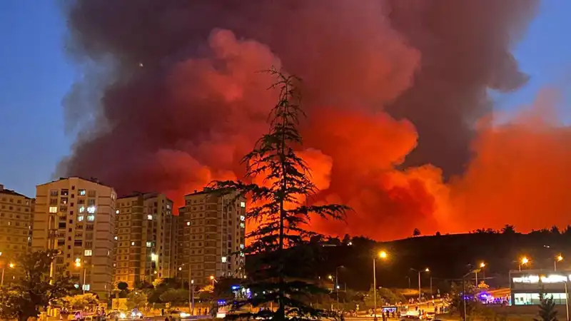 Bursa'da Yangınlar Şehri Sardı: Nedenleri ve Etkileri Neler?