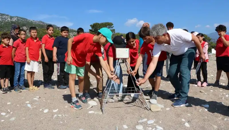 Kemer'de Caretta Caretta Koruma Yasakları Başladı: Deniz Tüm Gözler Burada