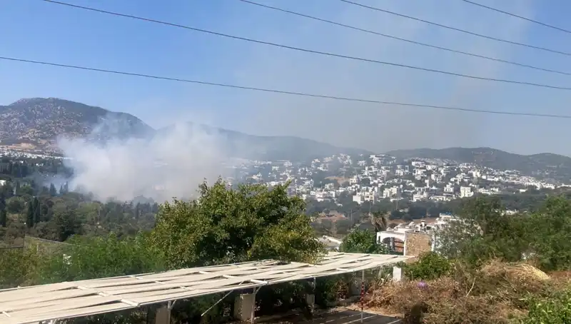 Muğla'da Kontrol Altına Alınan Orman Yangınları: Neler Oldu?