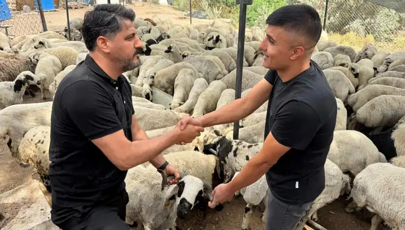 Tuz ve Sumakla Şişkin Gösterilen Kurbanlıklar: Alırken Dikkat!