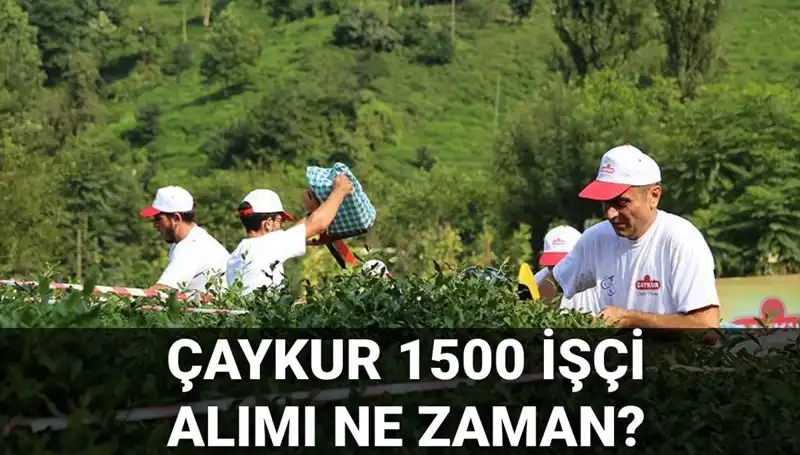Çaykur İşçi Alımı İçin Başvuru Tarihleri ve Detaylar Açıklandı