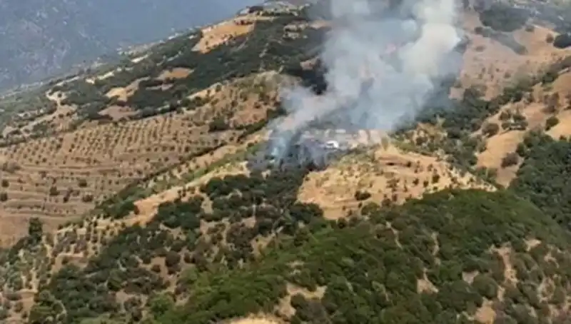 Aydın’daki Zeytinlik Yangını: Doğayı Kasıtlı Olarak Tahrip Edenler Mi Var?