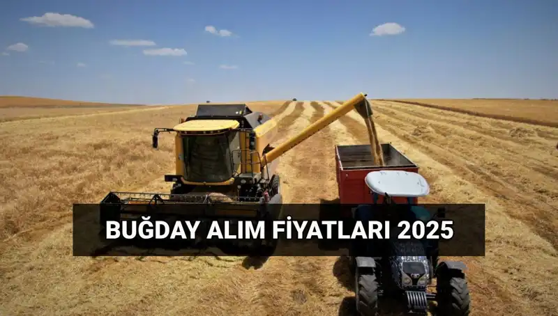 Hububat Alım Ücretleri Ne Zaman Yatacak? 2025 Fiyatları Neler?