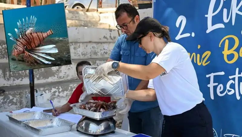 Antalya’da İstilacı Aslan Balığı Avlama Yarışması: Doğa İçin Bir Adım Daha