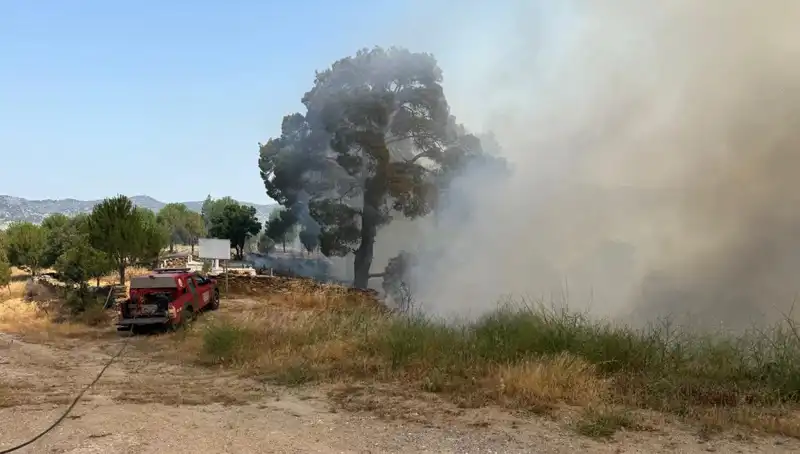 Muğla'da Kriz Hariç Yangın: Doğa ile Mücadele Devam Ediyor