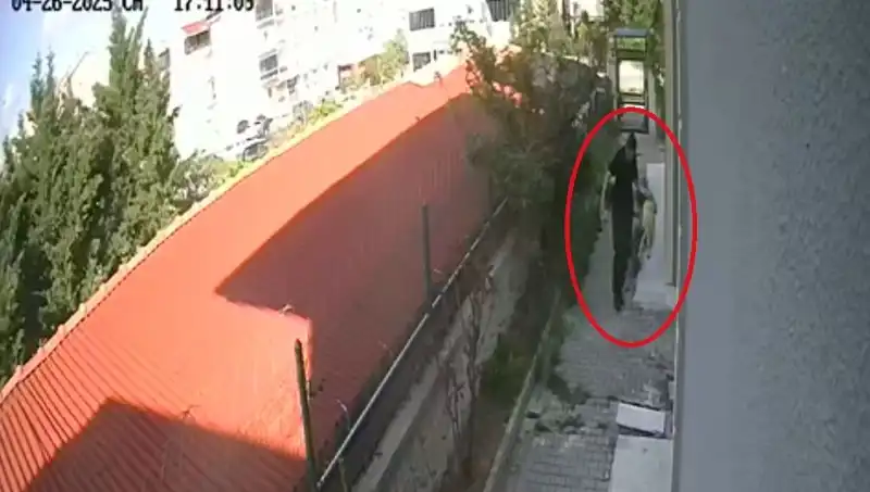 Evcil Hayvanlarıyla İlgili Sarsan Olay: Veteriner Doktor Tutuklandı