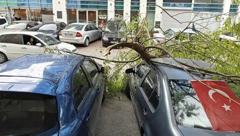 Kayseri’de Fırtına Esintisi: Ağaçlar Yıkıldı, Hayat Durma Noktasına Geldi
