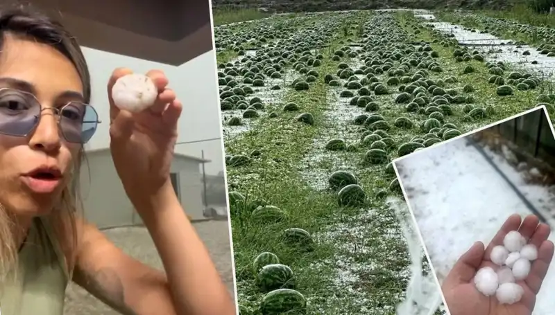 Antalya'da Dolu ve Hortum Felaketi: Zarar Görenlerin Duygusal Hikayeleri