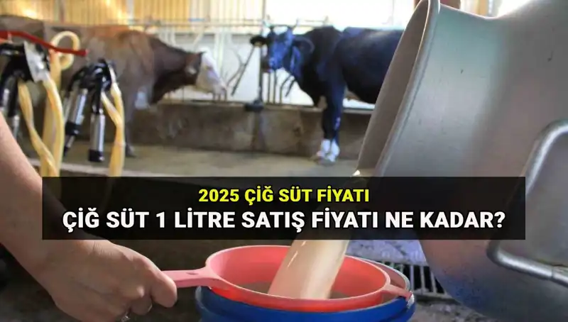 2025 Çiğ Süt Fiyatları Açıklandı: Piyasada Neler Oluyor?