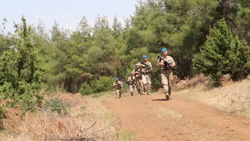 Kilis’te Orman Yangını Denetimi: Önleyici Tedbirler ve İlgili Kurumların Çalışmaları