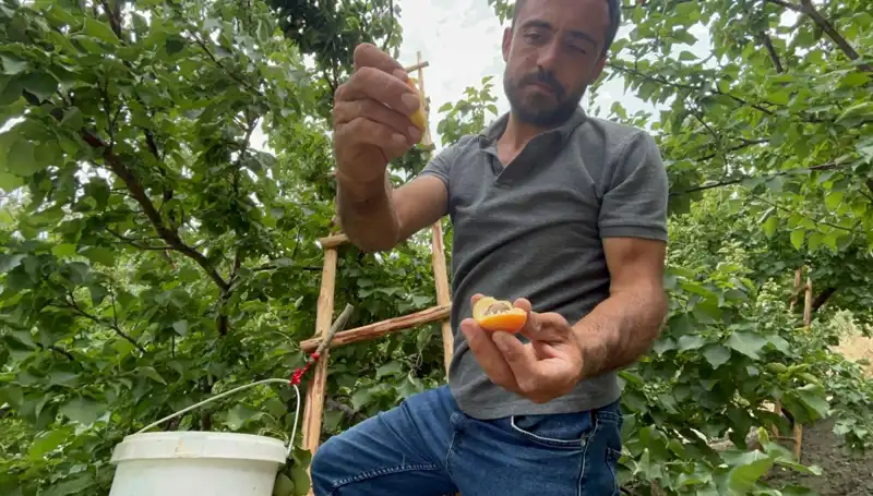 Türkiyeli Üreticilerin Yeni Gözdesi: 50 TL ile 70 TL Arasında Lezzetli Ürünler