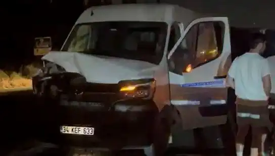 İstanbul’da Manda Kazası: Üç Kişinin Yaralandığı Korkunç Olay