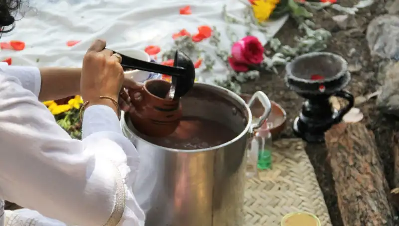 Ayahuasca Nedir? Bu Gizemli Çayın Yasal Durumu Hakkında Bilmeniz Gerekenler