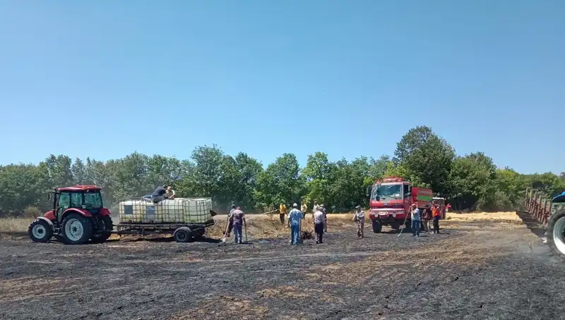 Buğday Tarlasında Çıkan Yangında 10 Dönüm Zarar Gördü: Çiftçiler Endişeli