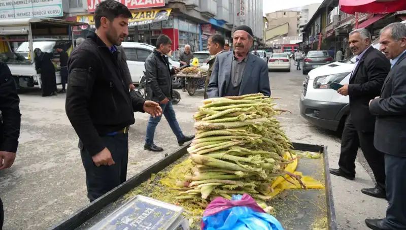 Dağlık Alandan İndirilerek Şifalı Özelliğiyle Talep Gören Şeker