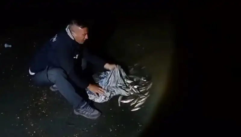 Bir Ton İnci Kefali Yakalandı: Avcılar Sevindi, Ekonomi Canlandı!