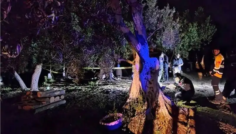Çiftlikte Korkunç Vahşet: Saldırgan Yakalandı, Olayın Detayları Şoke Edici!