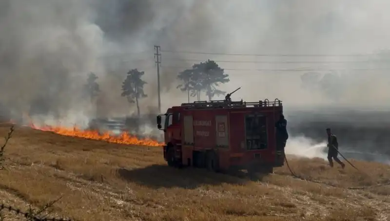 Kırklareli'nde Anız Yangını: Can ve Mal Kaybı Tehlikesi