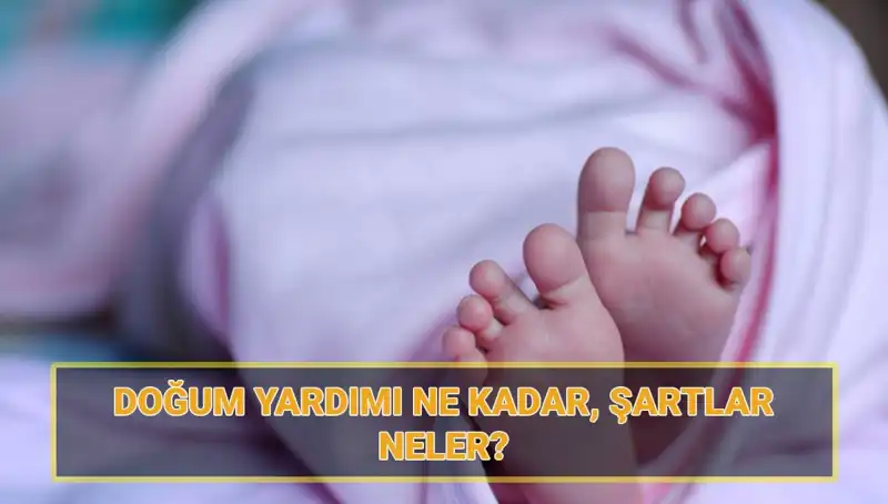2025 Çocuk Parası Başvuruları Başladı: Kimler Yararlanabilir?