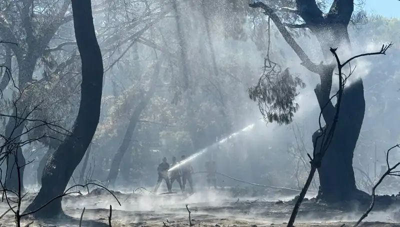 Çanakkale, Antalya ve Hatay'daki Yangınlar Nihayet Kontrol Altına Alındı