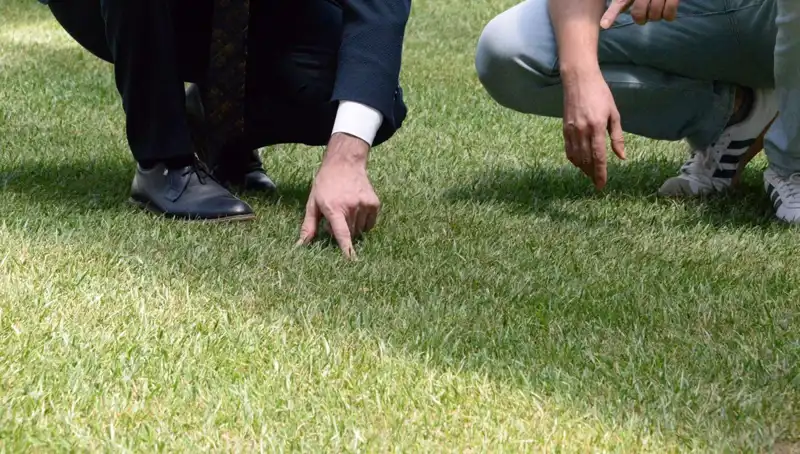 Stadyum Zeminindeki Fırtına: 10 Gün İçinde Hazır Olacak mı?