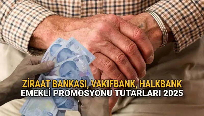 Kamu Bankaları 2025'te Emekli Promosyonlarında Rekora Koşuyor!