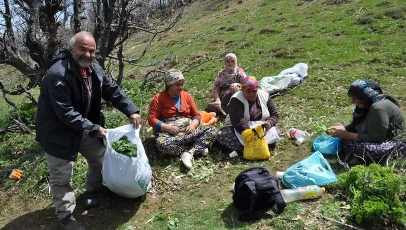 5 Saat Yol Yürüyerek Topladıkları Kilosu 250 Lira: Ailelerin Geçim Kaynağı