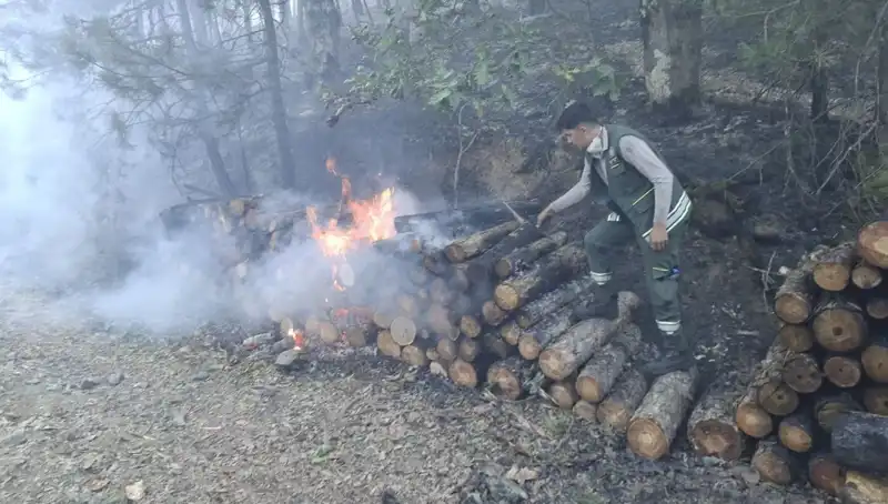 Bursa'da Yangın Alarmı: Şehirdeki Kriz ve Müdahale Süreci