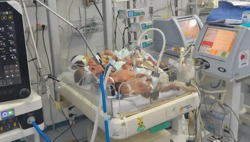 Gazzeli Doktorlar Çaresiz: Kuvözler Yetmiyor, Bebekler İçin Hayat Mücadelesi