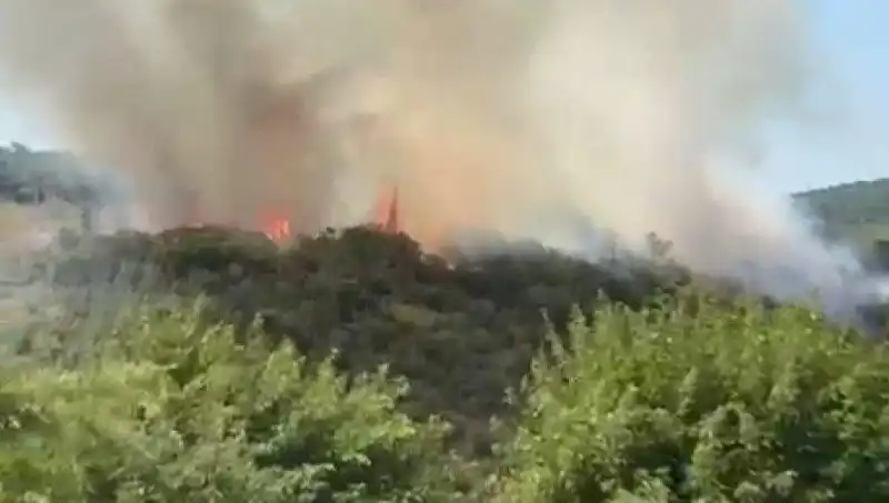 İstanbul’un Kalbinde Yangın Panik Yaratıyor: Vatandaşlar Hızla Tahliye Ediliyor