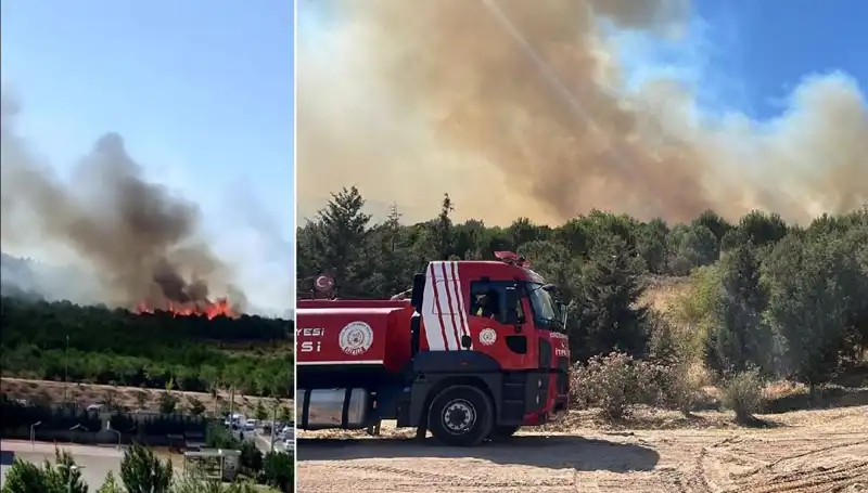 Gebze’de Orman Yangını: Yerel Halk ve Doğa Tehlikede
