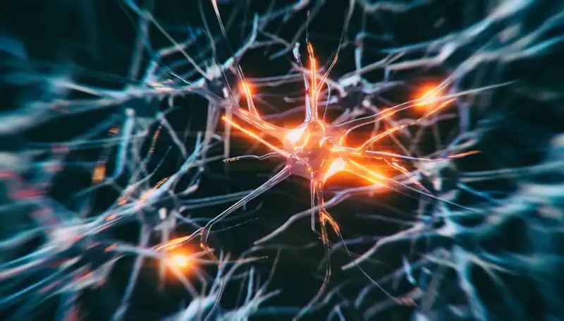 Alzheimer Vakalarındaki Artışın Sebepleri ve Geleceği Üzerine Çarpıcı Gözlemler