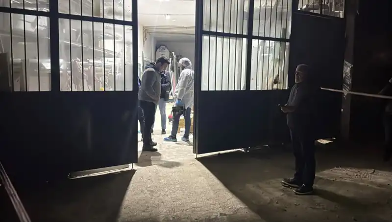 İş Yerinde Gerçekleşen Korkunç Cinayet İfşa Oldu: Detaylar Kan Donduruyor
