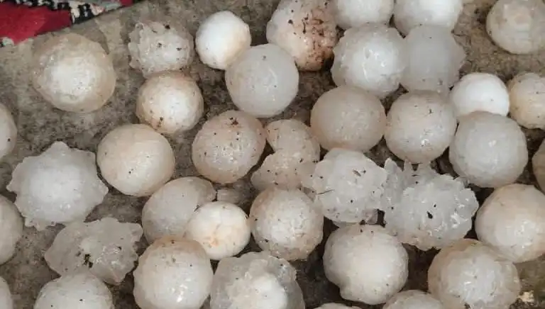 Şanlıurfa'da Kar Topu Gibi Dolu Yağışı: Doğada Neler Oluyor?