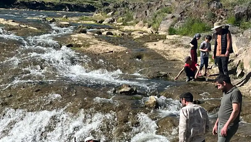 İnci Kefalinin Büyüleyici Göçü: Doğanın Harikası için Akın Eden Turistler
